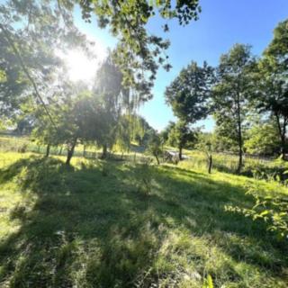 Prodej zahrady 2 650 m² Meclov Mrchojedy