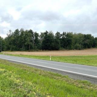 Prodej lesa 7 830 m² Draženov