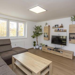 Prodej bytu 3+1 138 m² Pardubice Zelené Předměstí, Čihákova