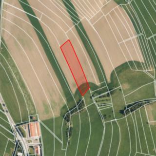 Prodej zemědělské půdy 6990 m² Ruprechtov