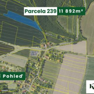 Prodej zemědělské půdy 21150 m² Zruč nad Sázavou
