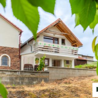 Prodej hotelu a penzionu 72 m² Velké Bílovice