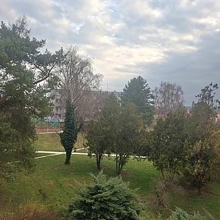 Prodej bytu 2+1 55 m² Bučovice