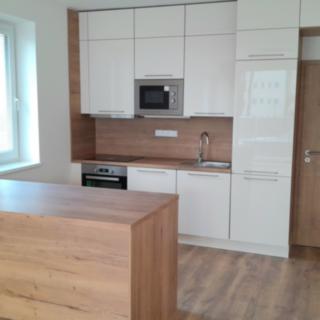 Pronájem bytu 1+kk a garsoniéry 46 m² Vyškov Dědice, Sídliště Osvobození