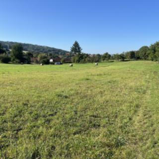 Prodej stavební parcely 649 m² Šebetov