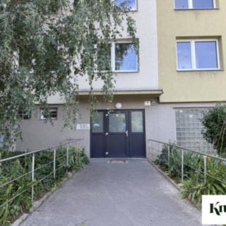 Pronájem bytu 1+1 45 m² Brno