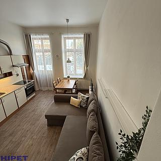 Pronájem bytu 1+kk a garsoniéry 30 m² Trutnov Horní Předměstí, Palackého