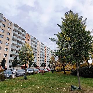 Pronájem bytu 1+1 33 m² Třebíč