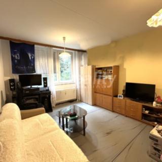 Prodej bytu 1+1 40 m² Jihlava, Březinova