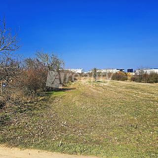 Prodej zahrady 2 719 m² Znojmo Přímětice