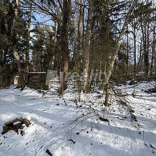 Prodej ostatního pozemku 2 007 m² Osová Bítýška