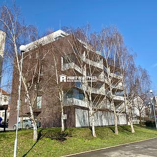 Pronájem bytu 2+kk 69 m² Beroun
