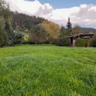 Pronájem stavební parcely 621 m² Drevníky