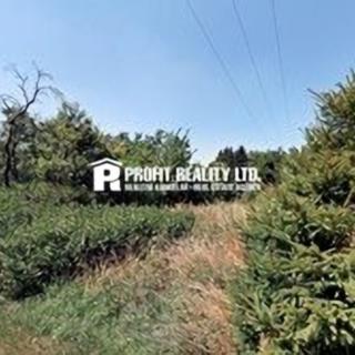 Prodej zahrady 632 m² Medonosy