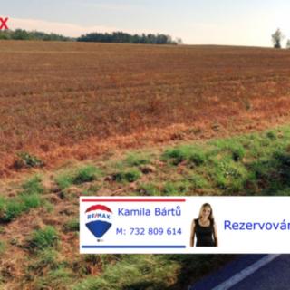 Prodej stavební parcely 1 675 m² Veselí nad Lužnicí II