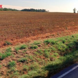 Prodej stavební parcely 1675 m² Veselí nad Lužnicí