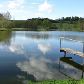 Prodej vodní plochy 20 425 m² Borotín Libenice