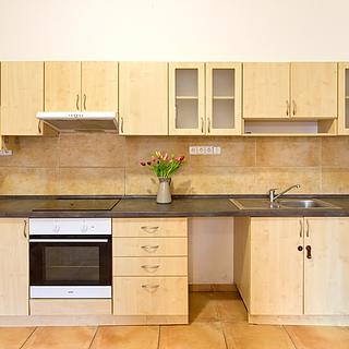 Pronájem bytu 1+1 50 m&sup2; Malšice