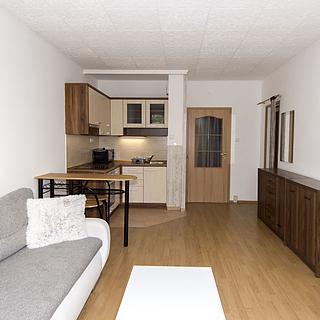 Pronájem bytu 1+kk, garsoniery 29 m² Praha
