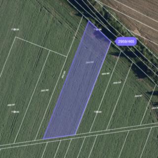 Prodej zemědělské půdy 4 813 m² Podivín