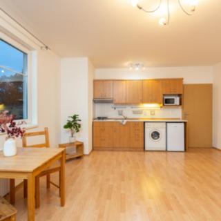 Pronájem bytu 1+kk a garsoniéry 30 m² Praha Libeň, Braunerova
