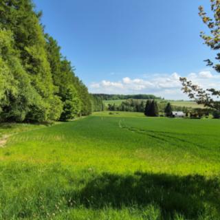Prodej stavební parcely 5 776 m² Borová