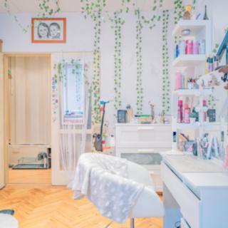 Prodej bytu 2+1 56 m² Hradec Králové, Škroupova