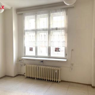 Pronájem ostatního komerčního prostoru 42 m² Praha Bubeneč, Dejvická