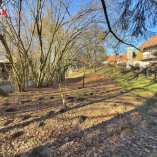 Prodej stavební parcely 2 190 m² Žamberk, U Líšnice