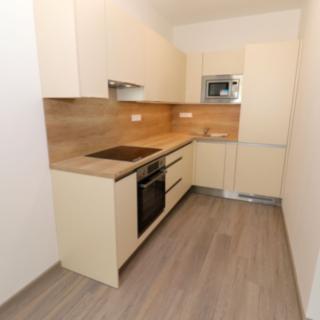 Pronájem bytu 2+kk 53 m² Pardubice Bílé Předměstí, Štrossova