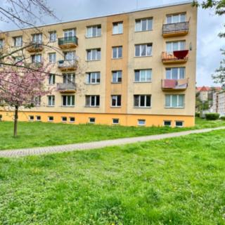 Prodej bytu 3+kk 64 m² Žatec, Hájkova