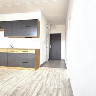 Pronájem bytu 1+1 38 m² Louny