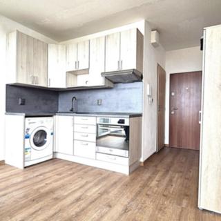Pronájem bytu 1+1 33 m² Louny, 17. listopadu