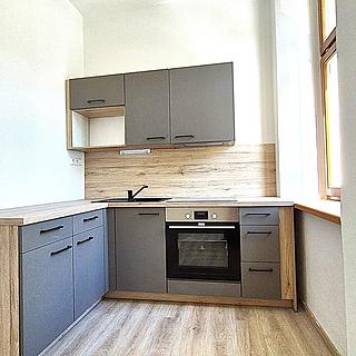 Pronájem bytu 3+1 64 m² Litoměřice Předměstí, Palachova