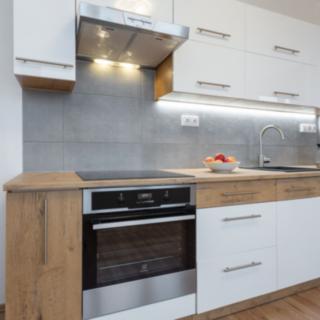 Pronájem bytu 2+1 52 m² Louny