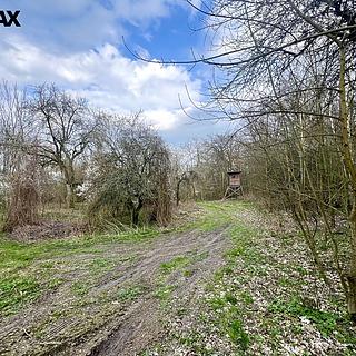 Prodej zahrady 6 042 m² Žatec Bezděkov