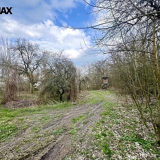 Prodej zahrady 6 042 m² Žatec Bezděkov