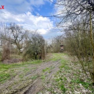 Prodej zahrady 6042 m² Žatec