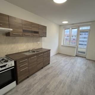 Pronájem bytu 1+1 59 m² Brno Veveří, Kounicova