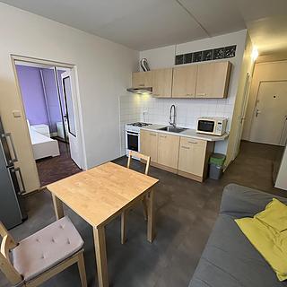Pronájem bytu 1+1 35 m² Brno