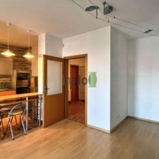 Pronájem bytu 2+kk 64 m² České Budějovice 3, U Trojice