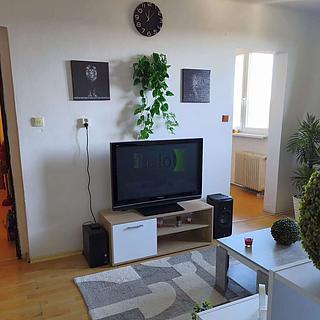 Pronájem bytu 3+1 70 m&sup2; Světlík