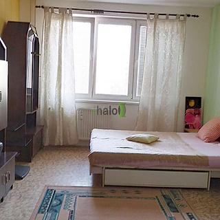 Pronájem bytu 1+kk a garsoniéry 32 m² České Budějovice 2, K. Chocholy