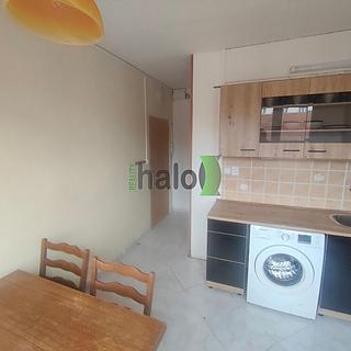 Pronájem bytu 1+1 38 m² České Budějovice, Mánesova