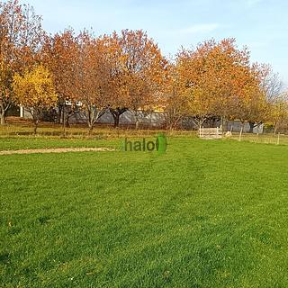 Prodej stavební parcely 2386 m² Lhenice