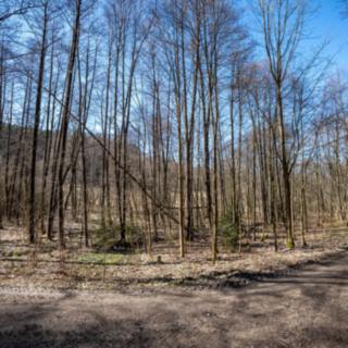 Prodej lesa 4 526 m² Dlouhý Most