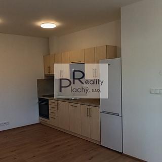 Prodej bytu 2+kk 56 m² Hevlín