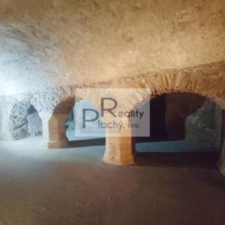 Pronájem vinného sklepa 365 m² Znojmo