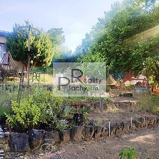 Pronájem zahrady 400 m&sup2; Brno