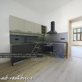 Pronájem bytu 1+1 40 m² České Budějovice